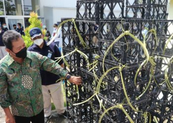 Indonesia Siap Pelopori Gerakan Ekonomi Biru di Asia Tenggara