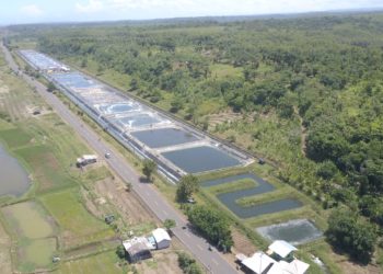 Indonesia Optimalkan Tambak Udang Berkelanjutan sebagai Basis Ekonomi Pesisir