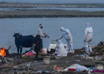 Mayat Korban Covid-19 Bergelimpangan dan Terdampar di Tepian Sungai Gangga India