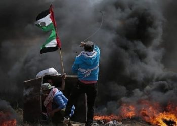 Solidaritas Palestina di Asia Tenggara, Serukan Boikot Produk Terafiliasi Israel