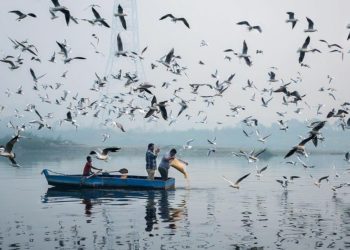 Bau Mayat Menyebar dari Sungai Gangga, India Kerahkan Pasukan