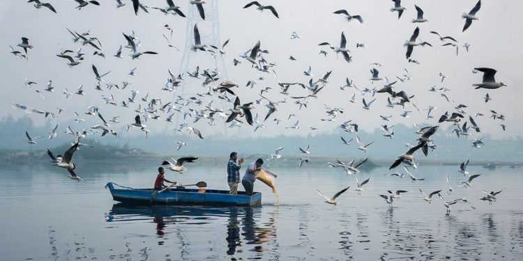 Bau Mayat Menyebar dari Sungai Gangga, India Kerahkan Pasukan