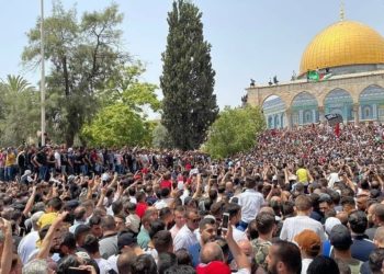 Gaza Mulai Bangkit, Bantuan Kemanusiaan Mengalir dari Komunitas Internasional