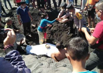 Hiu Paus Kembali Ditemukan Mati Terdampar di Pesisir Bali