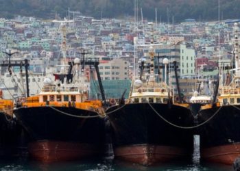 ABK Indonesia Paling Banyak Bekerja di Kapal Ikan Korea Selatan