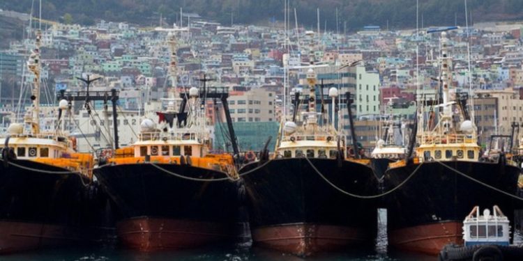 ABK Indonesia Paling Banyak Bekerja di Kapal Ikan Korea Selatan