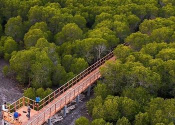 Mitigasi Perubahan Iklim, Banyuwangi Sejajar Kota-kota di Asia Tenggara