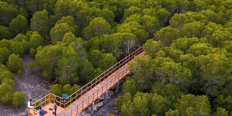 Mitigasi Perubahan Iklim, Banyuwangi Sejajar Kota-kota di Asia Tenggara