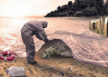 Bencana Ekologi Laut: Bangkai Penyu Bergelimpangan di Pantai Sri Lanka