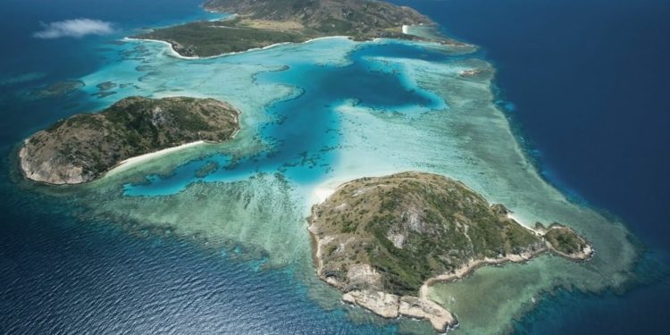 Australia Siapkan Rp10 Triliun untuk Konservasi Terumbu Karang Great Barrier Reef 1