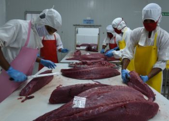 Permintaan Global Meningkat, Neraca Dagang Perikanan Indonesia Surplus Rp27 Triliun