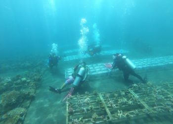 Coral Triangle Initiative: Indonesia Perluas CSC dan Jejaring Kawasan Konservasi Laut