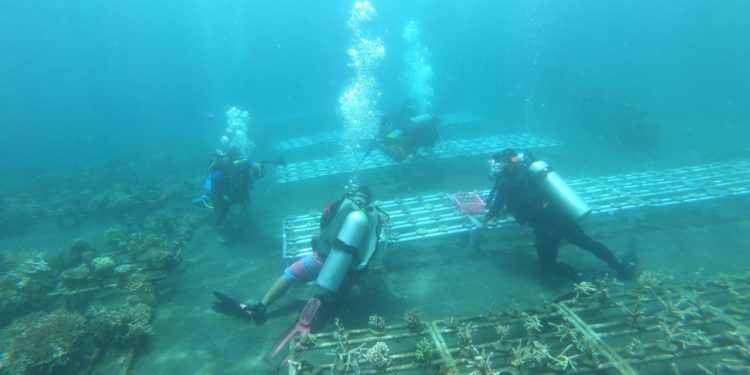 Coral Triangle Initiative: Indonesia Perluas CSC dan Jejaring Kawasan Konservasi Laut