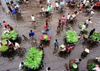 Kelaparan Global Naik Tajam Hingga 40 Persen Akibat Kenaikan Harga Pangan