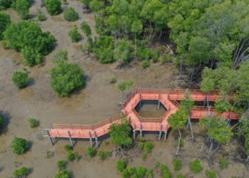 Indonesia Bangun 4 Pusat Restorasi dan Pengembangan Ekosistem Pesisir