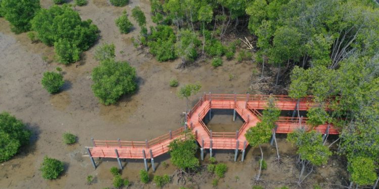 Indonesia Bangun 4 Pusat Restorasi dan Pengembangan Ekosistem Pesisir 1 Indonesia Bangun 4 Pusat Restorasi dan Pengembangan Ekosistem Pesisir
