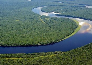 UNESCO Apresiasi Upaya Konservasi  Taman Nasional Salonga