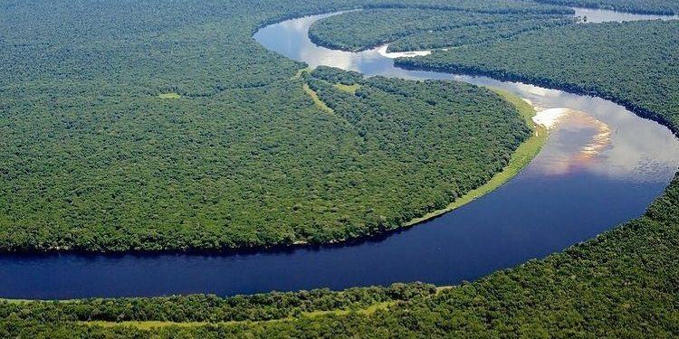 UNESCO Apresiasi Upaya Konservasi  Taman Nasional Salonga