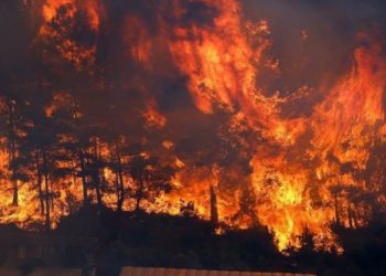 Kawasan Hutan di Turki Terbakar Hebat, 3 Orang Tewas dan 18 Desa Dievakuasi