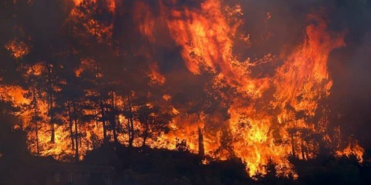 Kawasan Hutan di Turki Terbakar Hebat, 3 Orang Tewas dan 18 Desa Dievakuasi