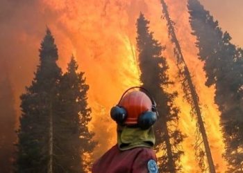 Uni Eropa Kirim Bantuan ke Turki Atasi Kebakaran Hutan