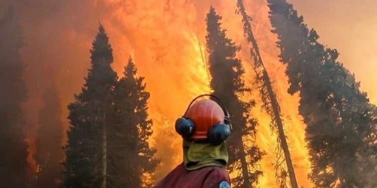 Uni Eropa Kirim Bantuan ke Turki Atasi Kebakaran Hutan