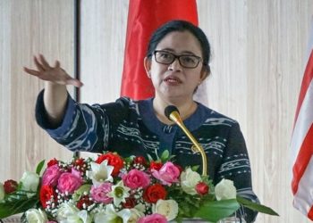 Puan Maharani Galang ASEAN Bersatu Tangani Pandemi Covid-19