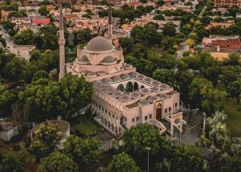 Mitigasi Bencana Iklim, Pakistan Tanam 10 Miliar Pohon