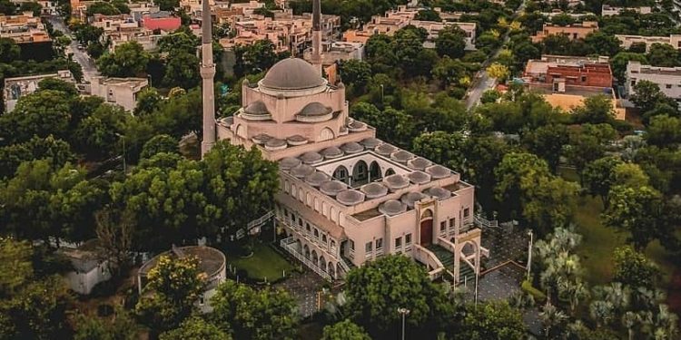 Mitigasi Bencana Iklim, Pakistan Tanam 10 Miliar Pohon