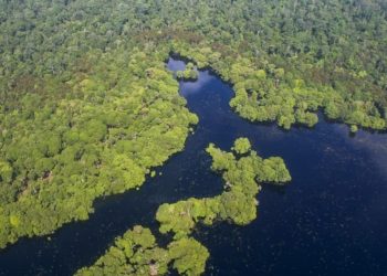 Indonesia Akhiri Kerjasama Proyek REDD+ dengan Norwegia