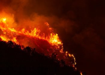 Ribuan Pohon Sequoia Terancam Punah Akibat Kebakaran Hutan di California