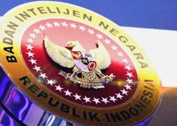 BIN Indonesia Bantah Servernya Diretas Hacker China