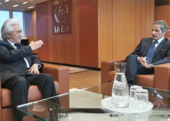 IAEA Dukung Indonesia Jadi Referensi di Asia Tenggara