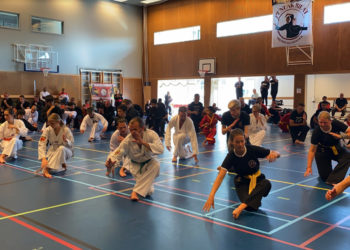 Pencak Silat Resmi Diakui Sebagai Warisan Budaya Indonesia di Belanda