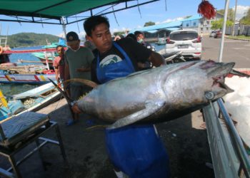 Singapura Buka Peluang Impor Hasil Laut Indonesia