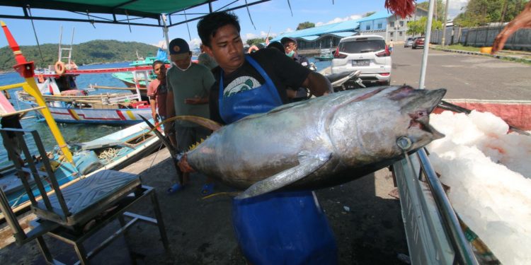 Singapura Buka Peluang Impor Hasil Laut Indonesia