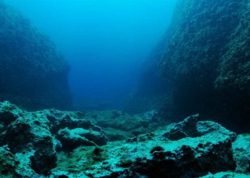 Kerak Samudra Indonesia Menyimpan Kekayaan Mineral Logam dan Migas