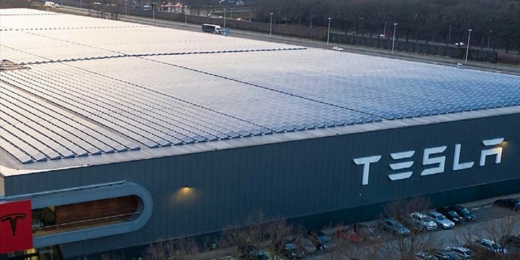Tesla Kapalkan 241 Ribu Mobil Listrik ke Eropa dan Asia hingga September