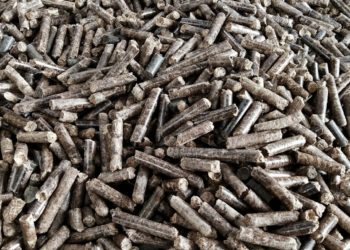 TEBE Jajaki Bisnis Wood Pellet, Bidik Ekspor ke Korea dan Eropa