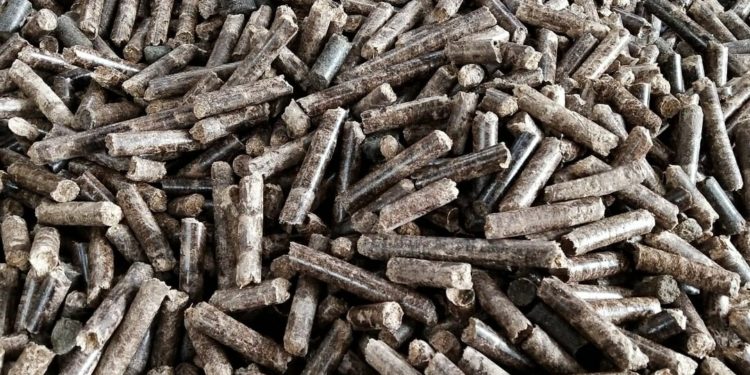 TEBE Jajaki Bisnis Wood Pellet, Bidik Ekspor ke Korea dan Eropa