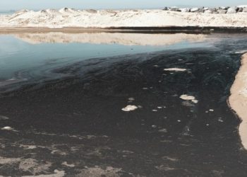 Tumpahan Minyak di California Mencemari Garis Pantai dan Samudra Pasifik 2