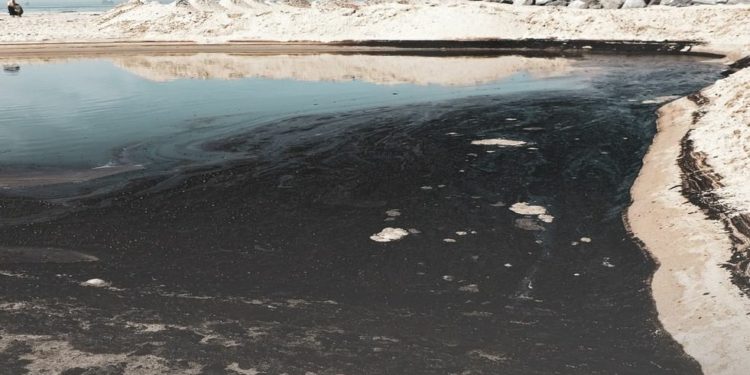 Tumpahan Minyak di California Mencemari Garis Pantai dan Samudra Pasifik 1 Tumpahan Minyak di California Mencemari Garis Pantai dan Samudra Pasifik 1