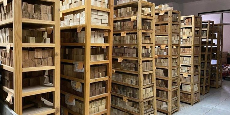 Indonesia Kini Punya Perpustakaan Kayu Terbesar di Dunia