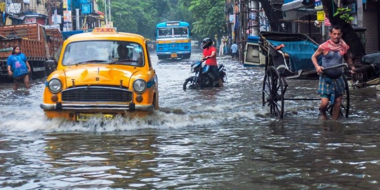China Janjikan USD233 Juta untuk Konservasi Keanekaragaman Hayati