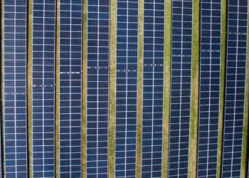 IEA: Krisis Iklim Global harus Dijawab Melalui Investasi Energi Hijau
