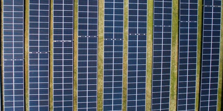 IEA: Krisis Iklim Global harus Dijawab Melalui Investasi Energi Hijau
