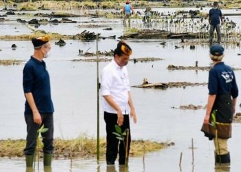 Konservasi Mangrove di Indonesia Menginspirasi Komunitas Internasional