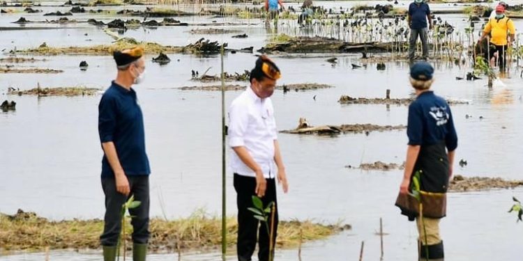 Konservasi Mangrove di Indonesia Menginspirasi Komunitas Internasional