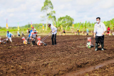 FAO: Pertanian Selamatkan Ekonomi Indonesia di Masa Pandemi Covid-19