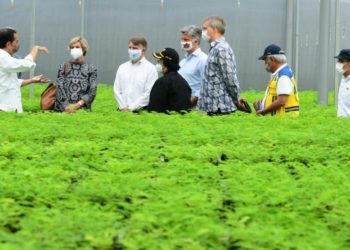 Bangun Nursery Center, Indonesia Tunjukkan Aksi Nyata Mitigasi Perubahan Iklim
